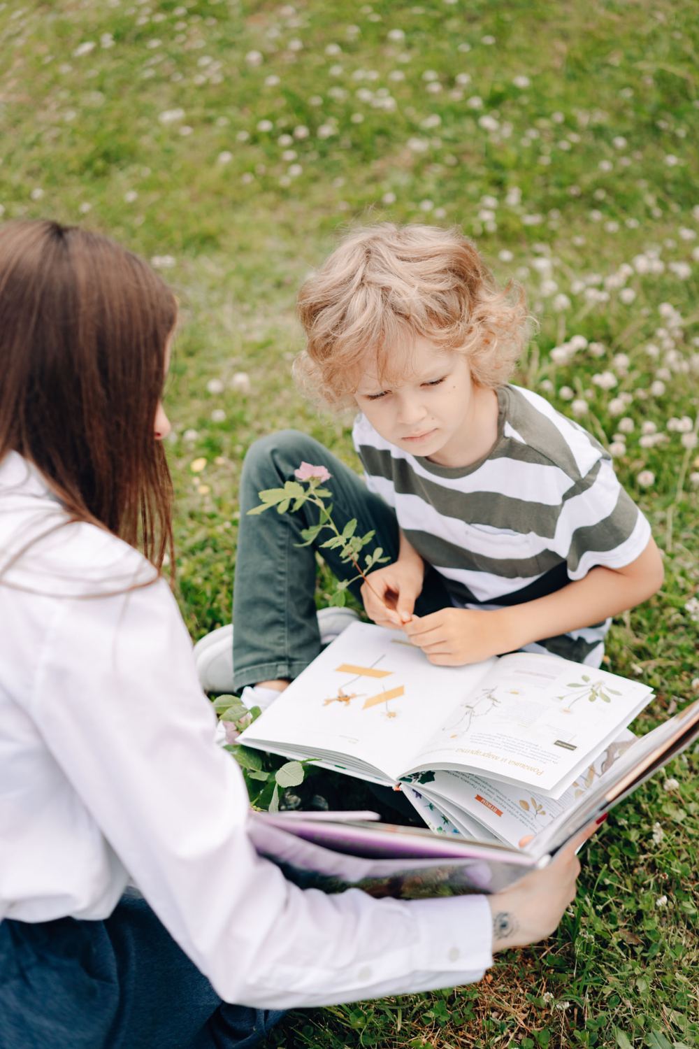 Tutoring & Education activities for homeschool families