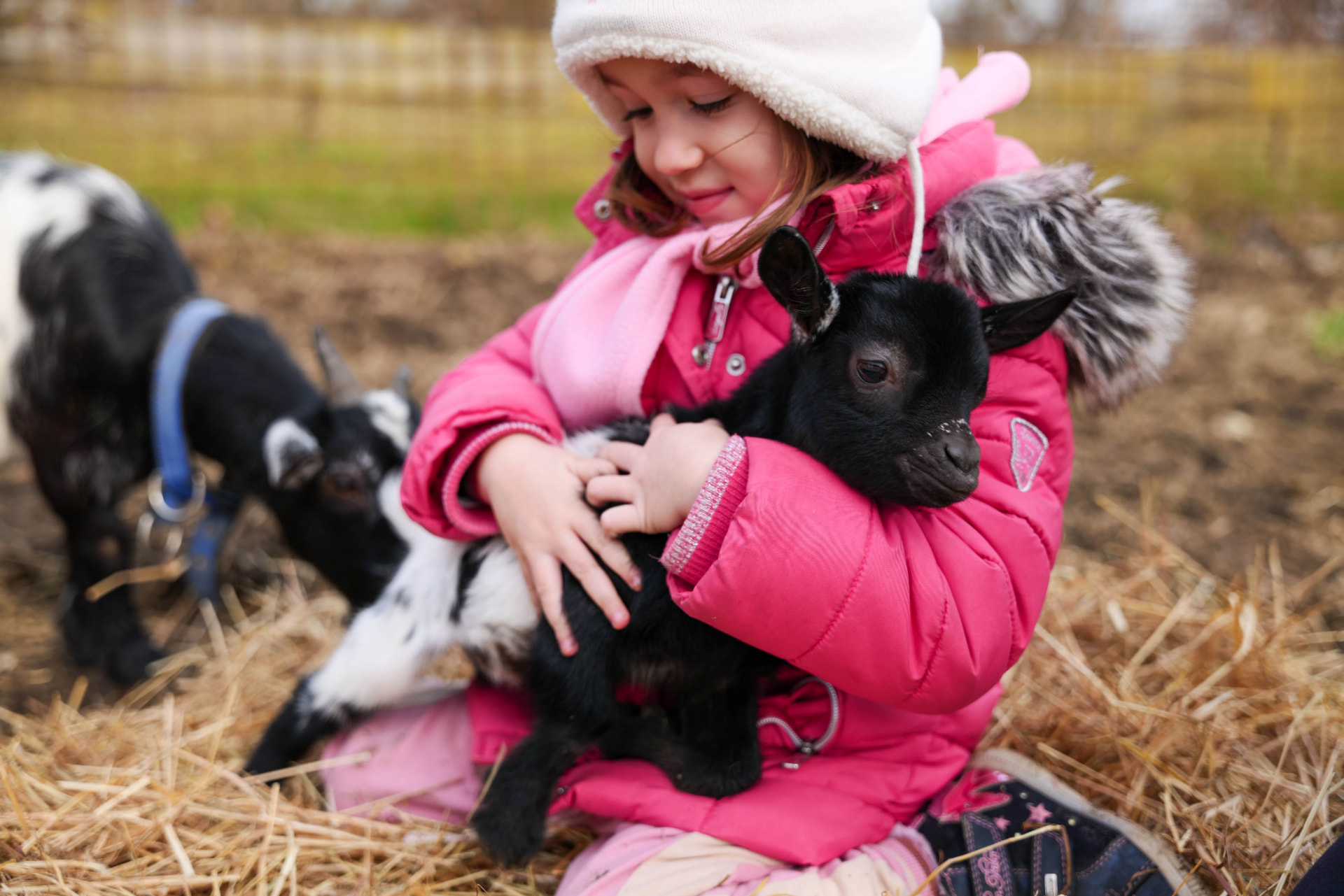 10 Hands-On Farm Learning Experiences for Homeschool Families on the Mornington Peninsula